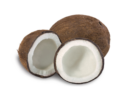 Kokosnuß - Cocos nucifera, Palmengewächs