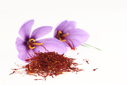 Safran - Crocus sativus, Schwertliliengewächse, Suppengelb, Gelbe Würze