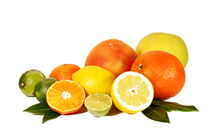 Citrusfrüchte - Citrus ..., Rautengewächse, Zitrusfrüchte